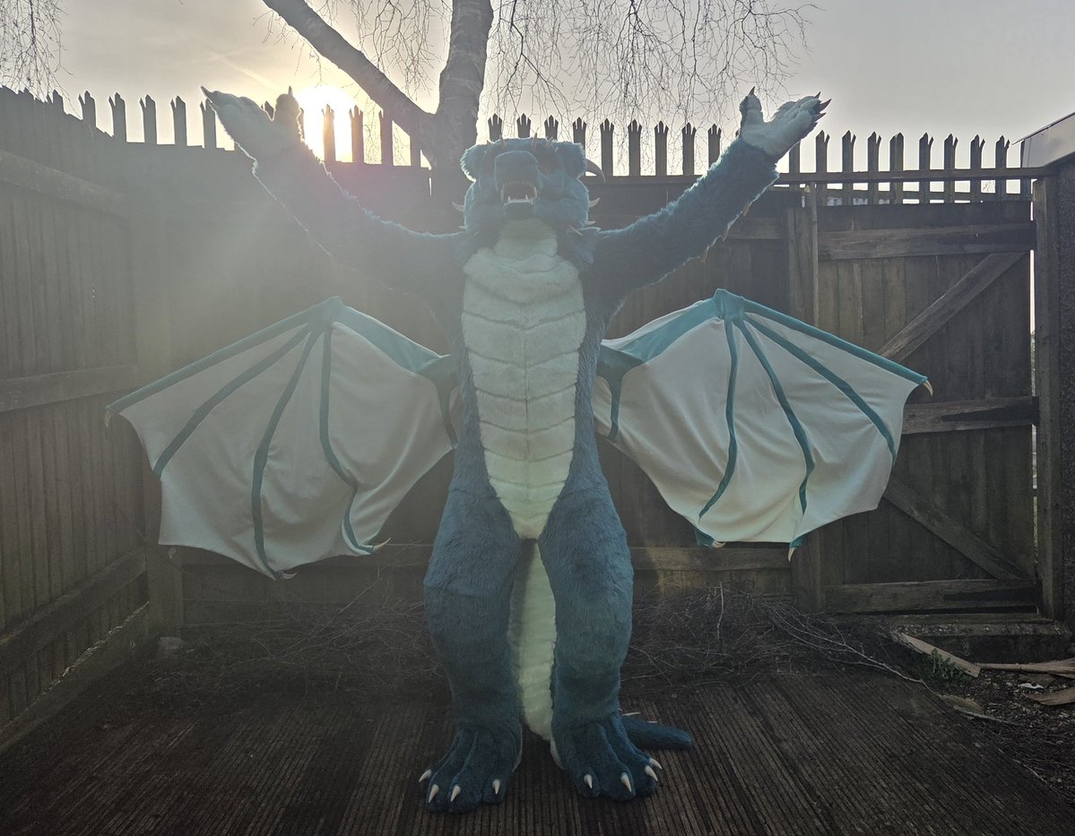 Timaeus Dragon tweet media