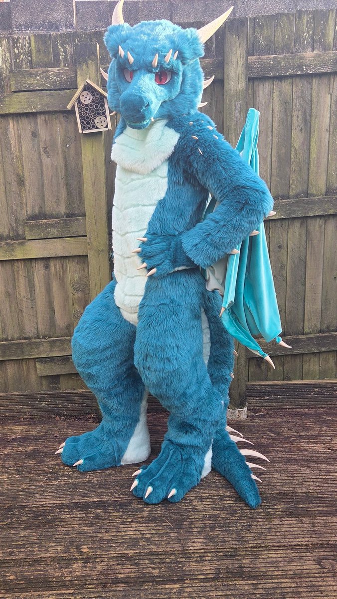 Timaeus Dragon tweet media