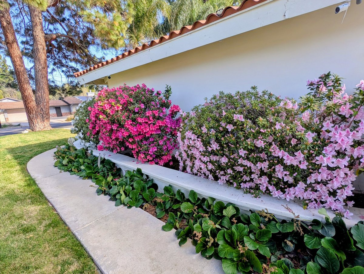 Marsha Collier tweet media