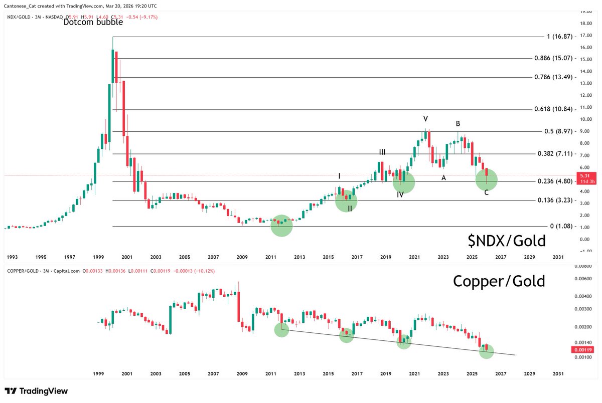 Cantonese Cat 🐱🐈 tweet media
