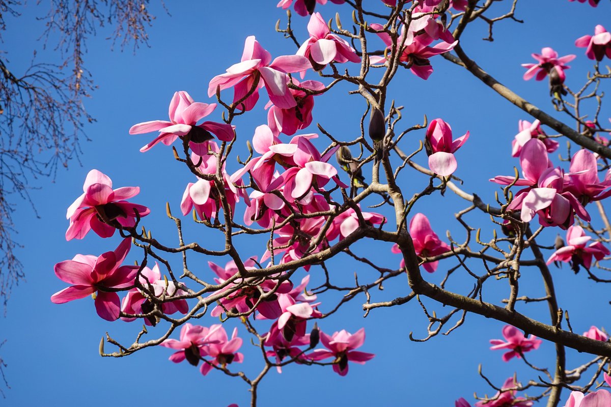 Martin Paterson 🏴󠁧󠁢󠁳󠁣󠁴󠁿 tweet media