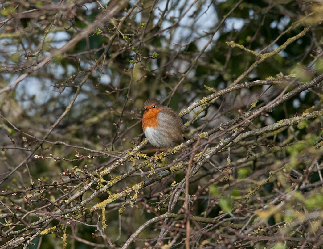 itsnotaboutwork tweet media