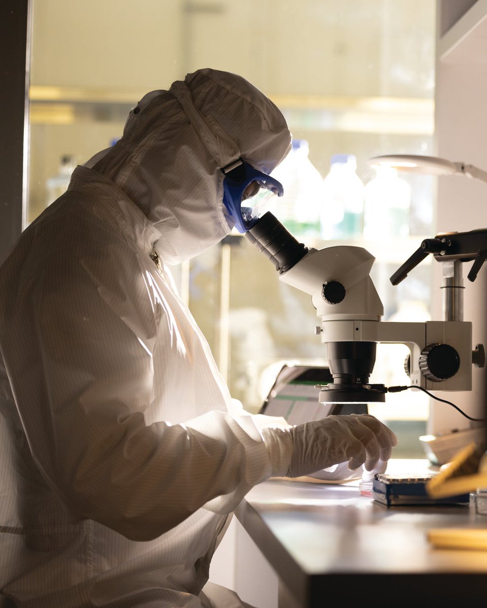 Vestis Corporation tweet media