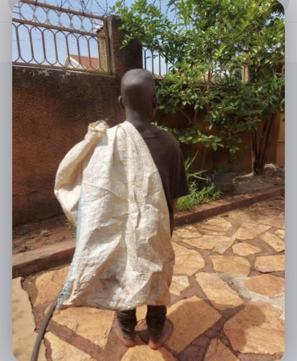 timo🖤🎱 tweet media