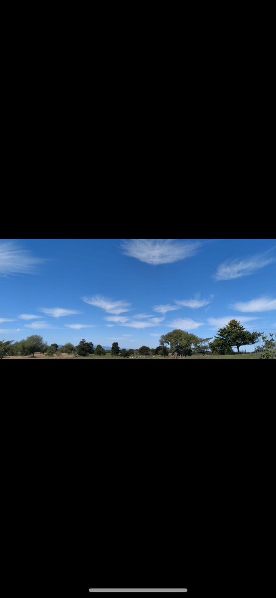 embrace empathy tweet media