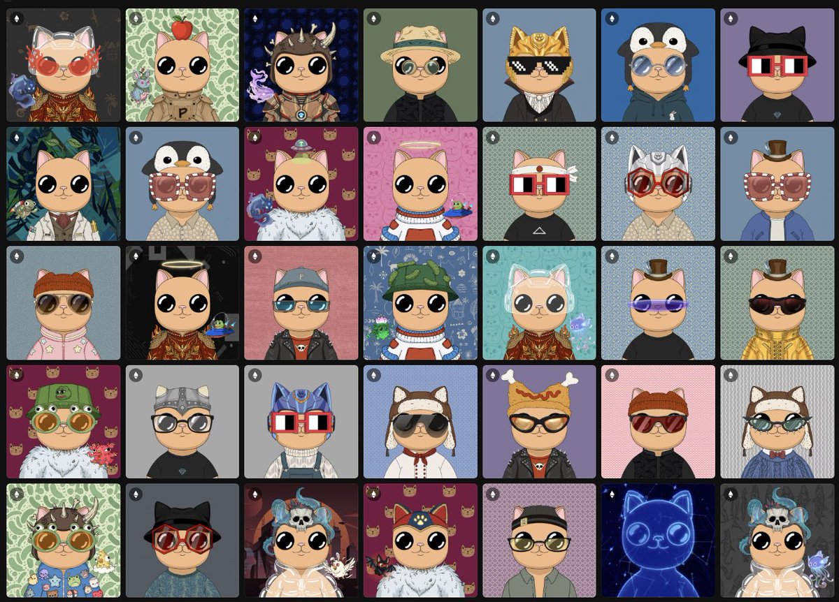 THUNDER⚡️ tweet media