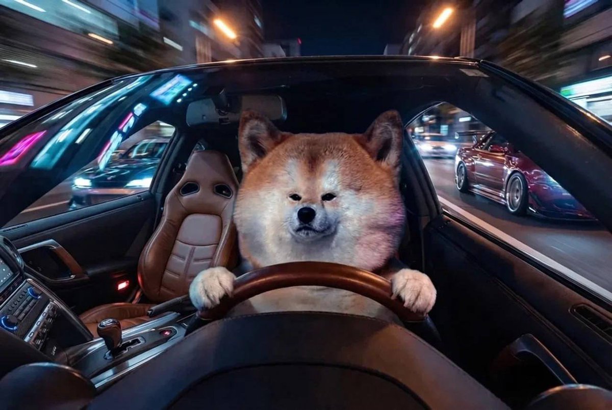 Joe Trades tweet media