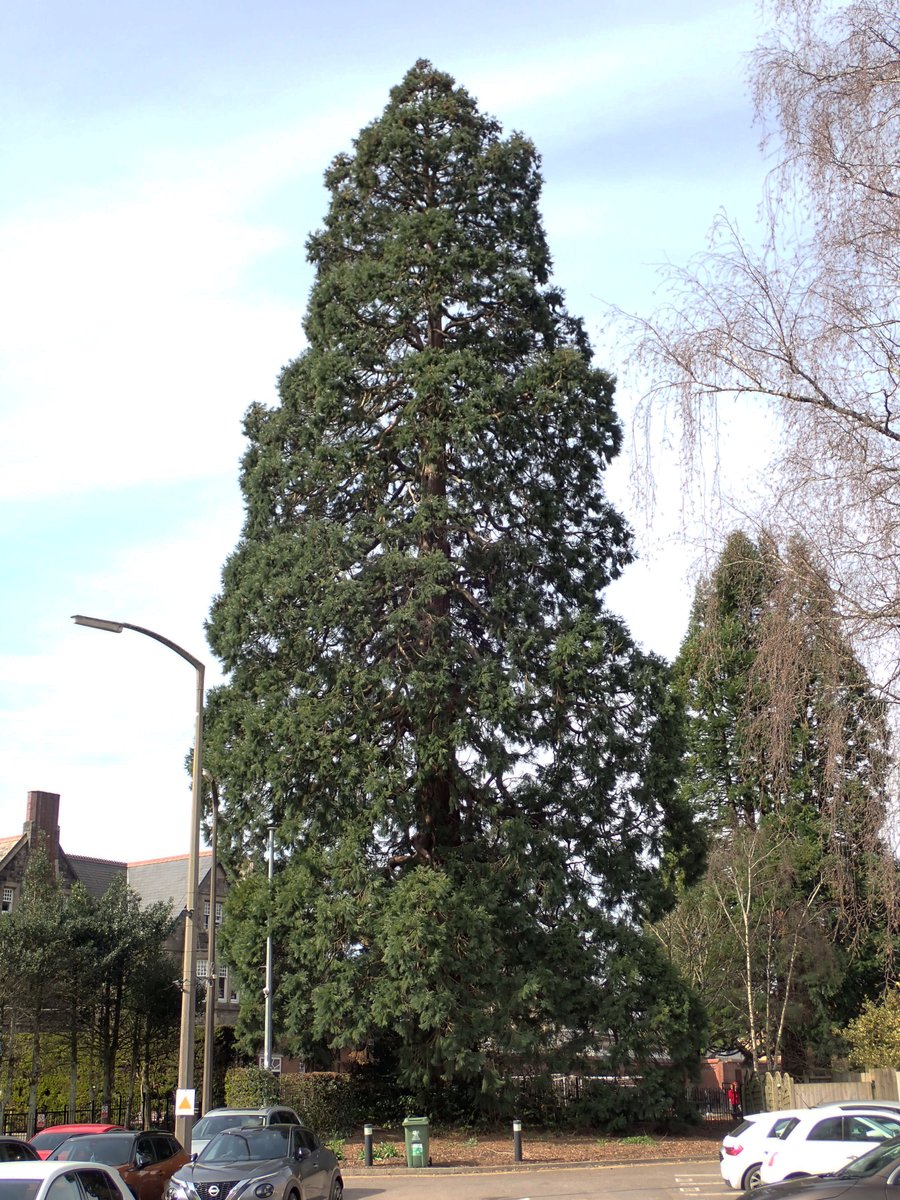 Chris Fowler tweet media