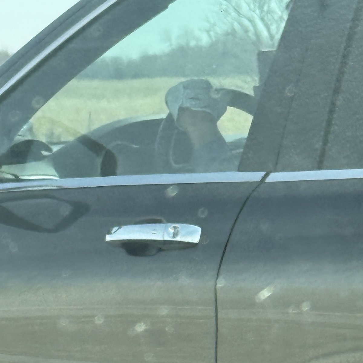 Meg Adkins tweet media