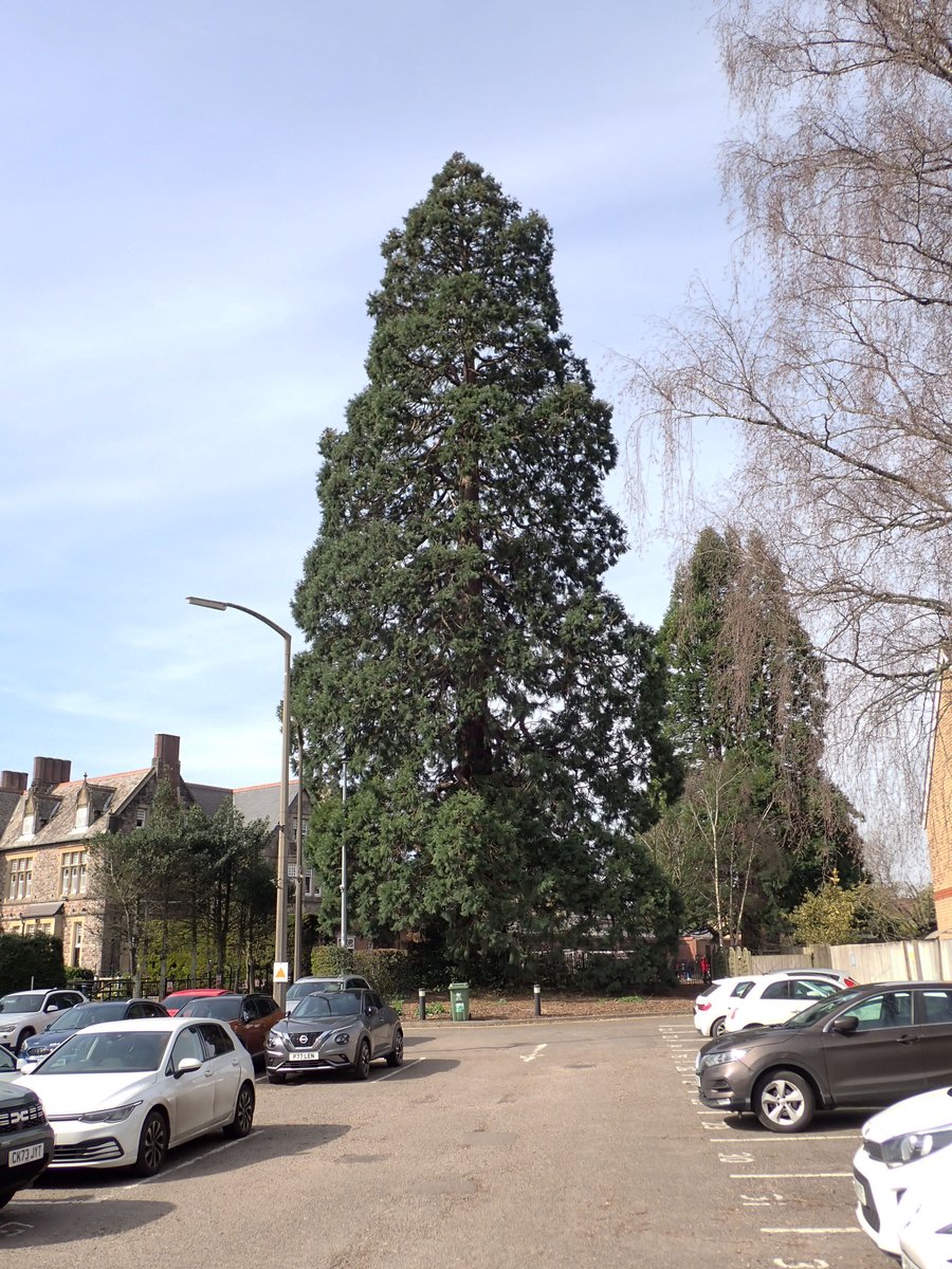 Chris Fowler tweet media