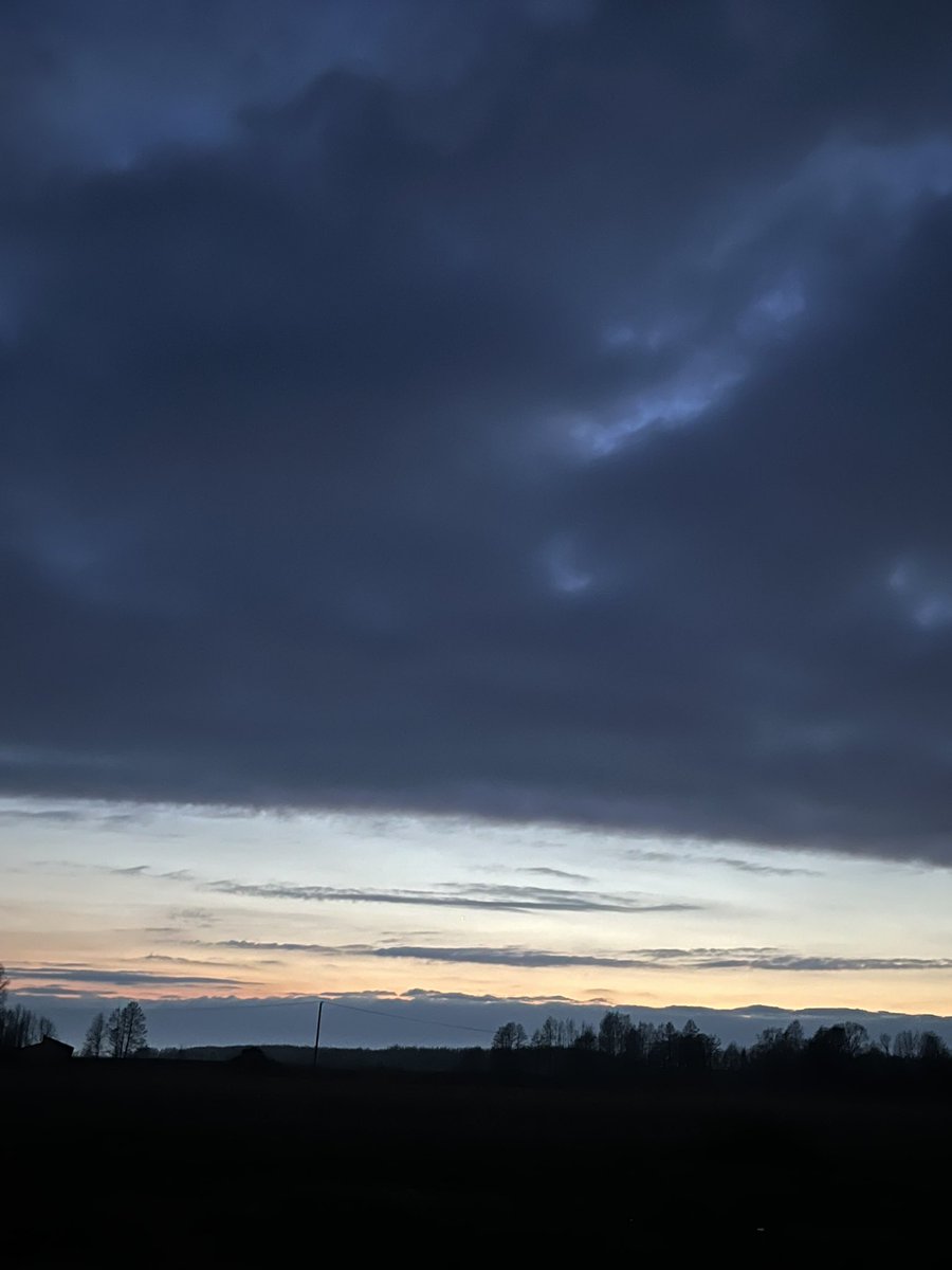 bona fide tweet media