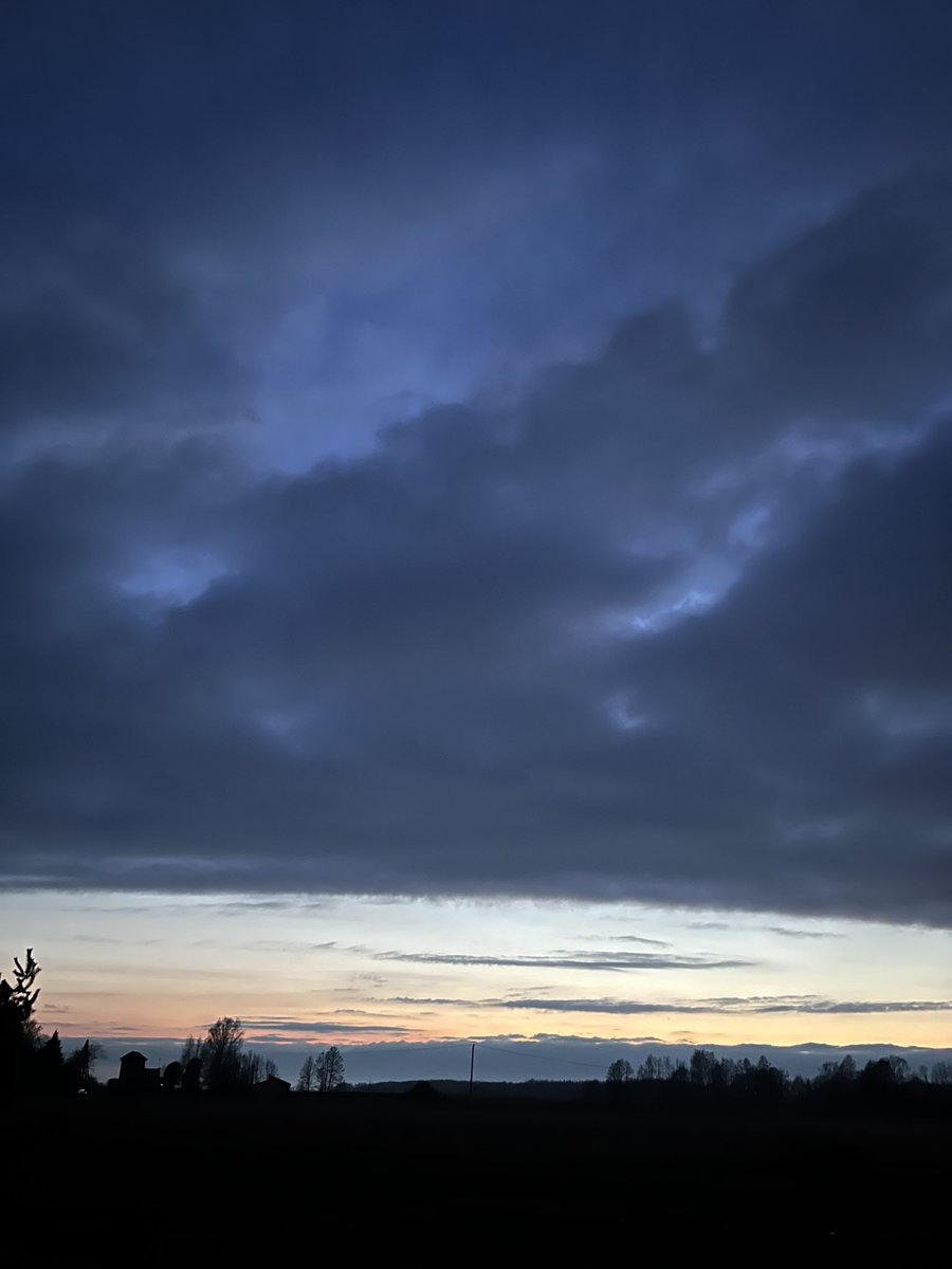 bona fide tweet media