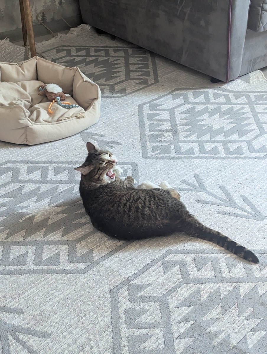 Annushka_Smaslom tweet media