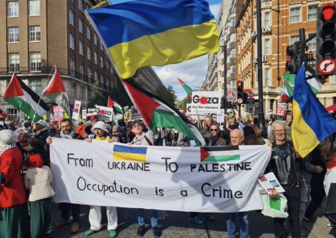 Omar El Fares 🇵🇸 عُمَر الفارس tweet media