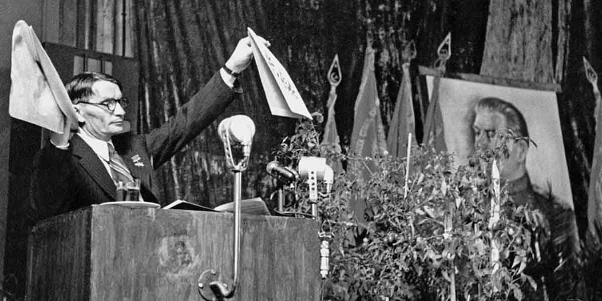 Camicia Rossa tweet media