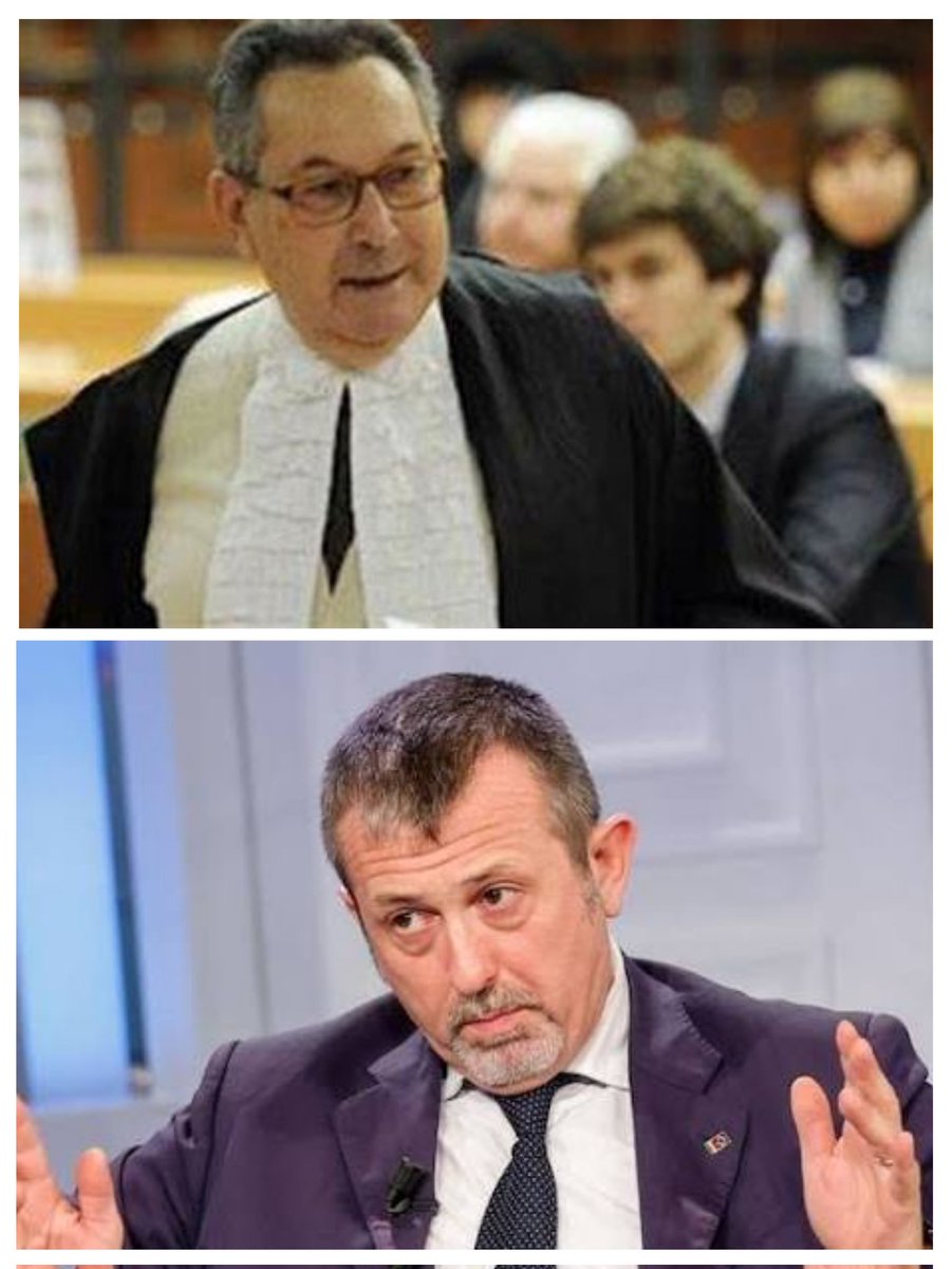 Vito Morena tweet media