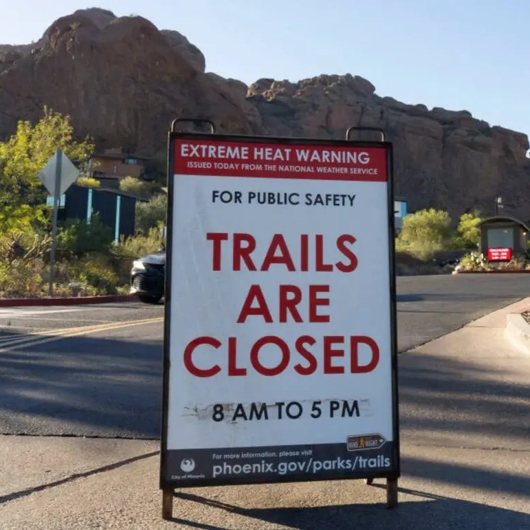 NewsForce tweet media