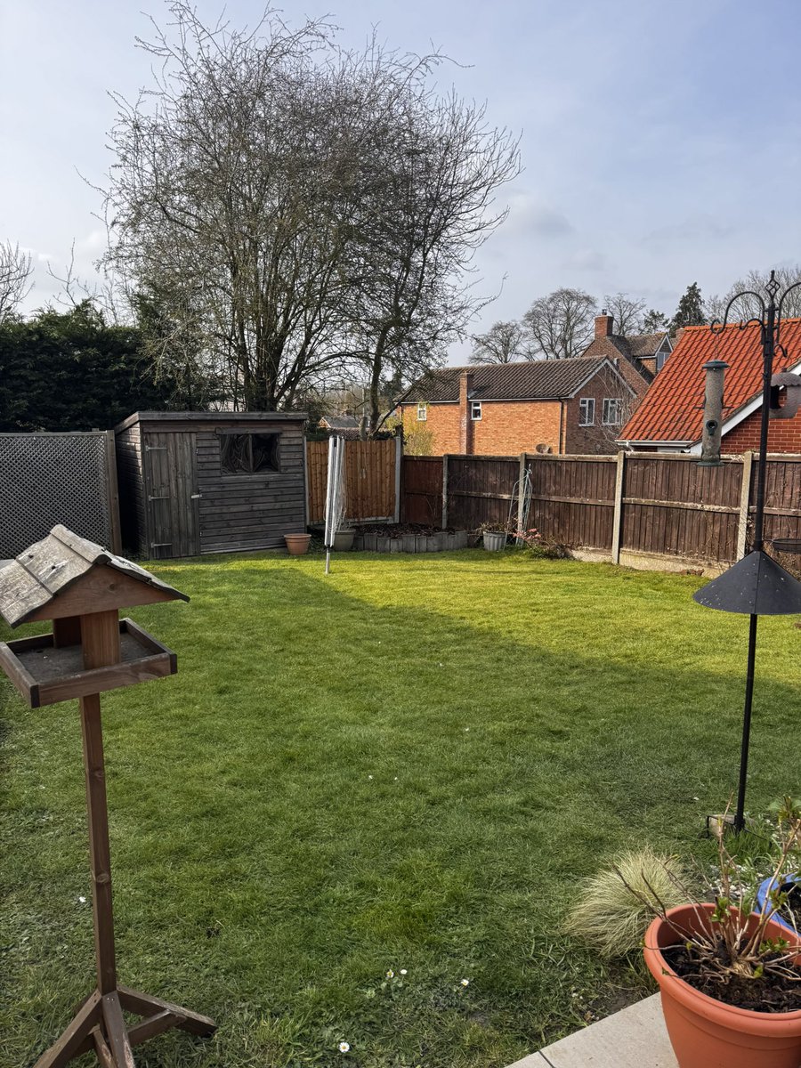 DH Maintenance tweet media