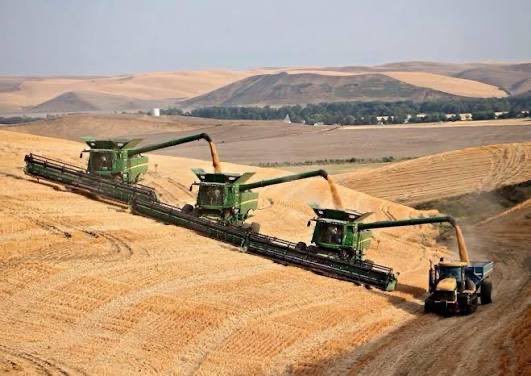 Samuel Deane tweet media