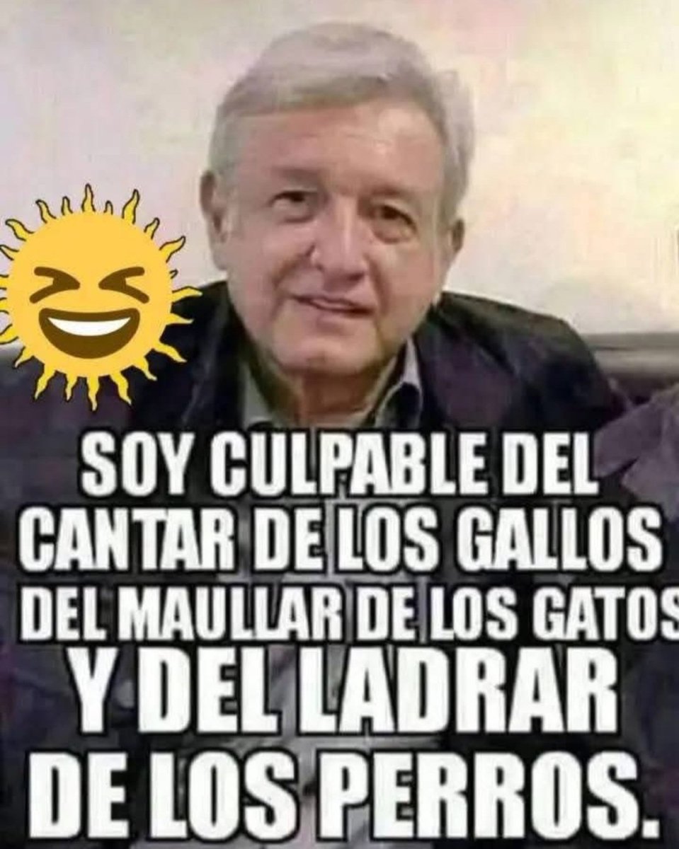 Rosavelia Salazar tweet media