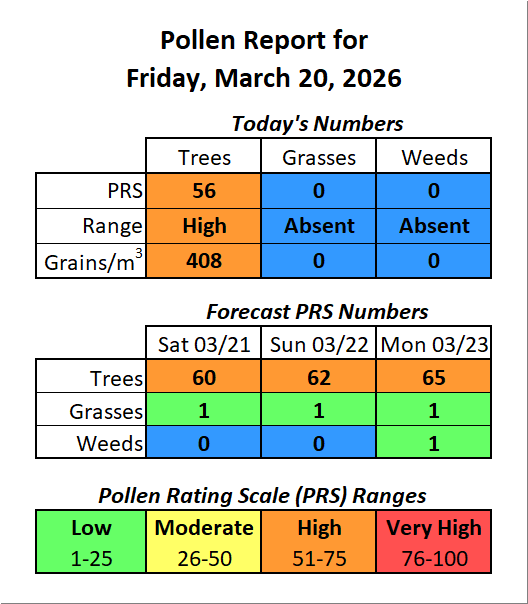 Forsyth County, NC Pollen tweet media