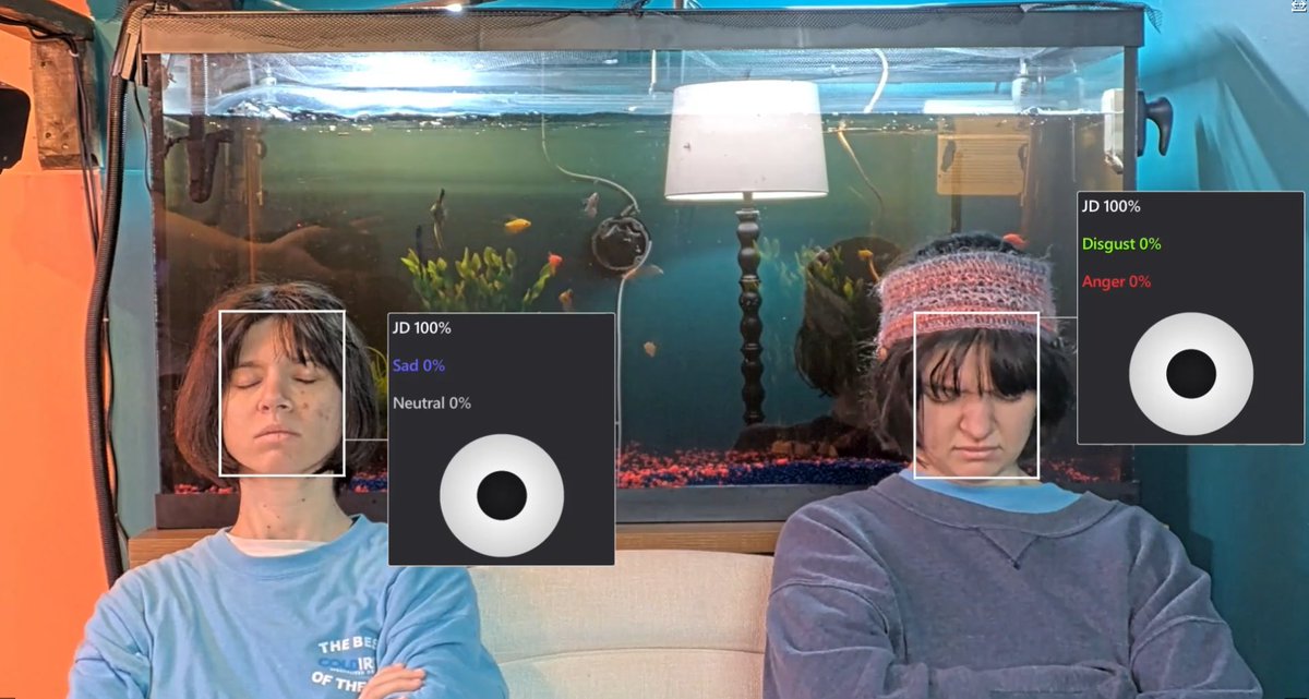 The Voodoo Rabbit tweet media