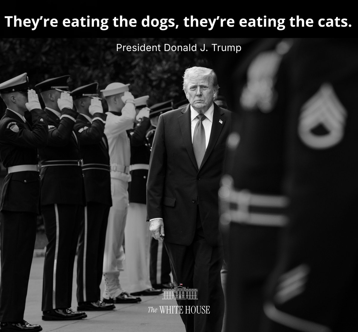 MTB Fella tweet media