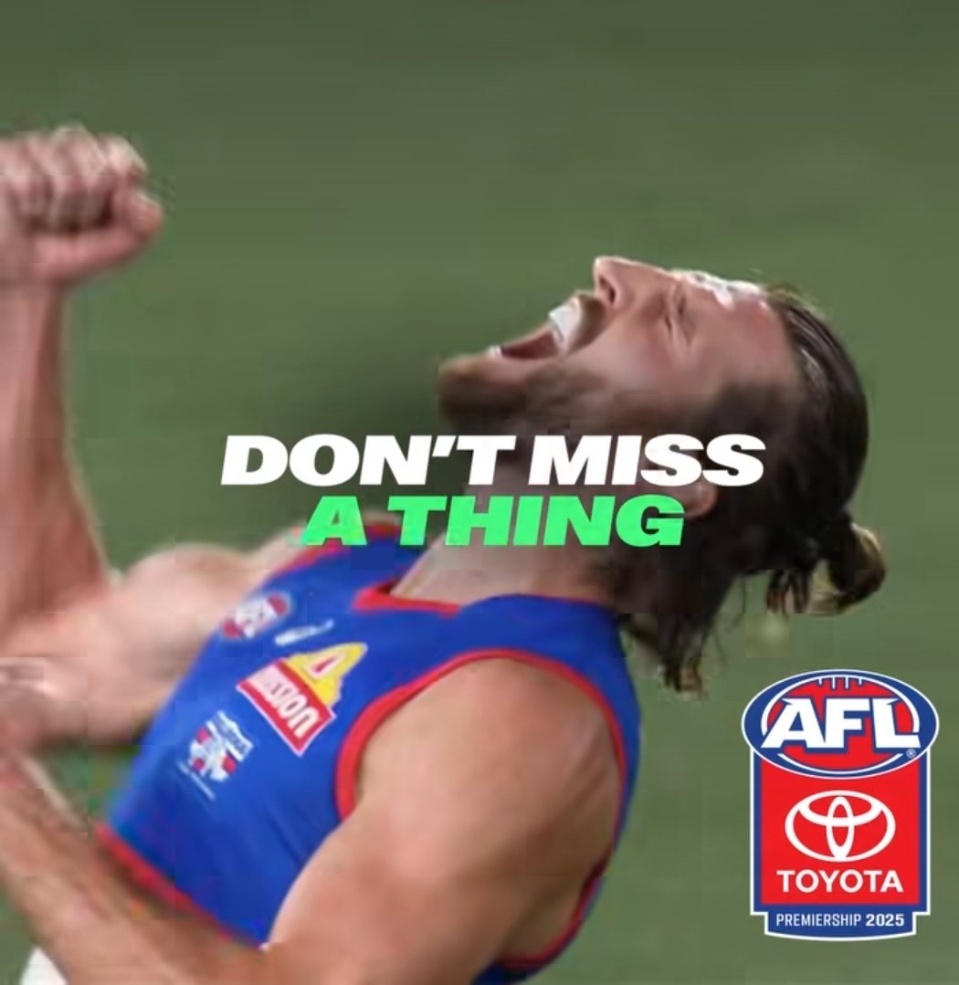 Ozzie DaBearDownUnder 🐻⬇️🇦🇺 tweet media