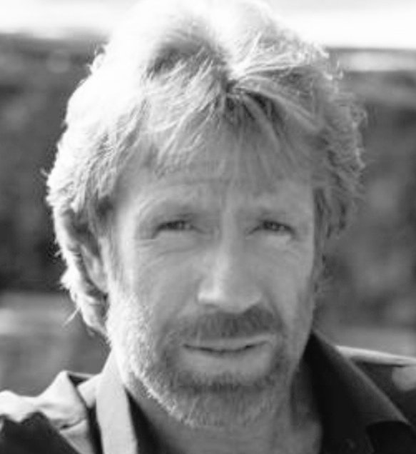 The Conservative Alternative tweet media