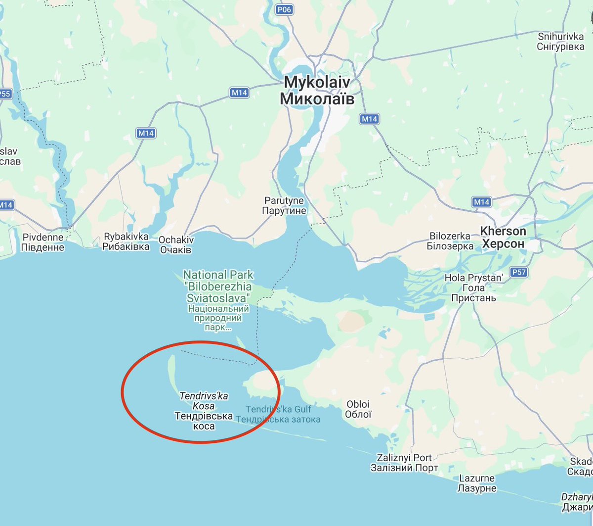 Roy🇨🇦 tweet media