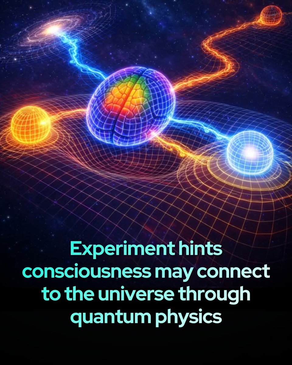 Night Sky Now tweet media