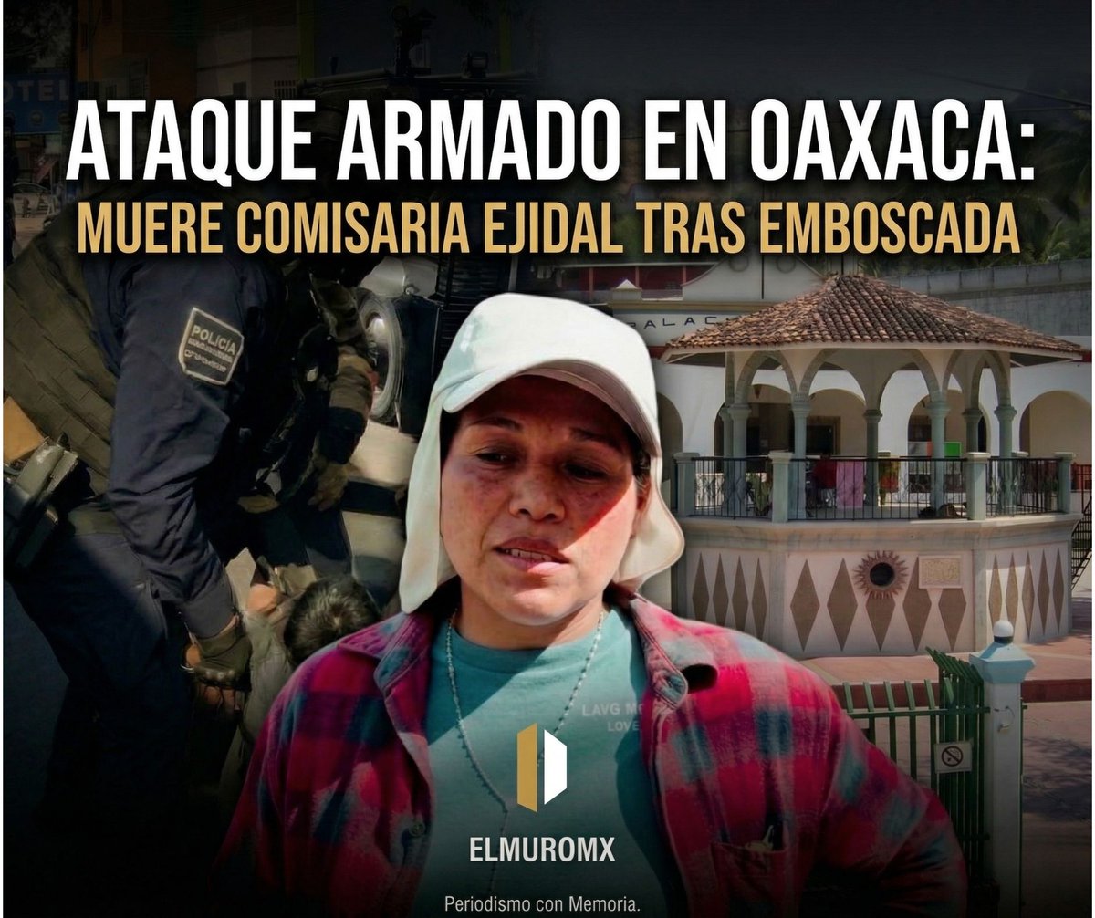 El MuroMx tweet media