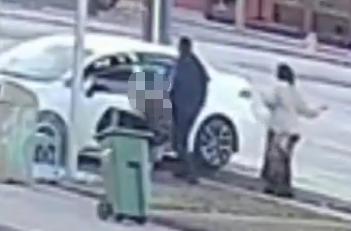 Josh Ryan 🍁 tweet media