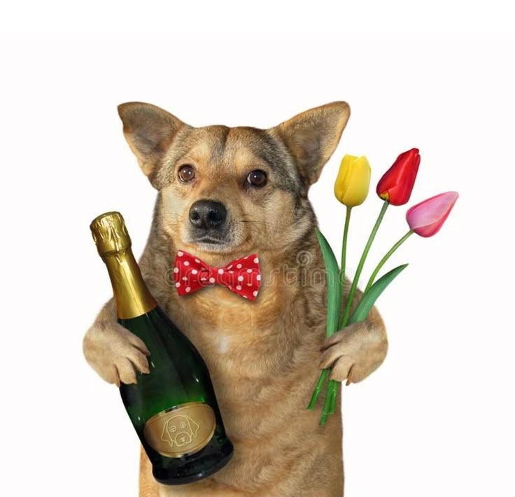 shitposter_lover1 tweet media