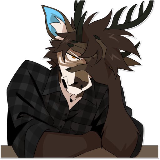 Falk 🔜 TFF tweet media