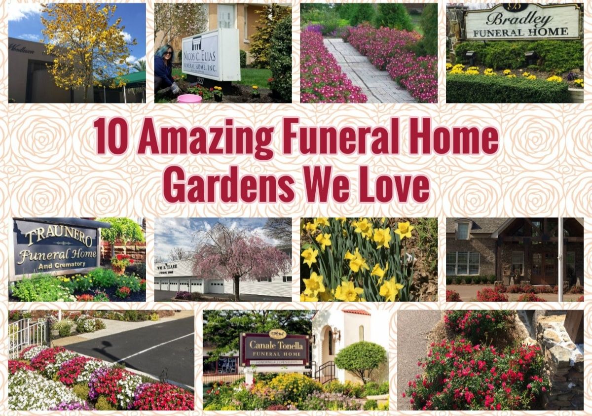 myASDcalls's tweet image. 10 Amazing Funeral Home Gardens We Love buff.ly/F9Vw4Yb 

#SpringHasArrived #FirstDayofSpring #1stDayofSpring #HelloSpring