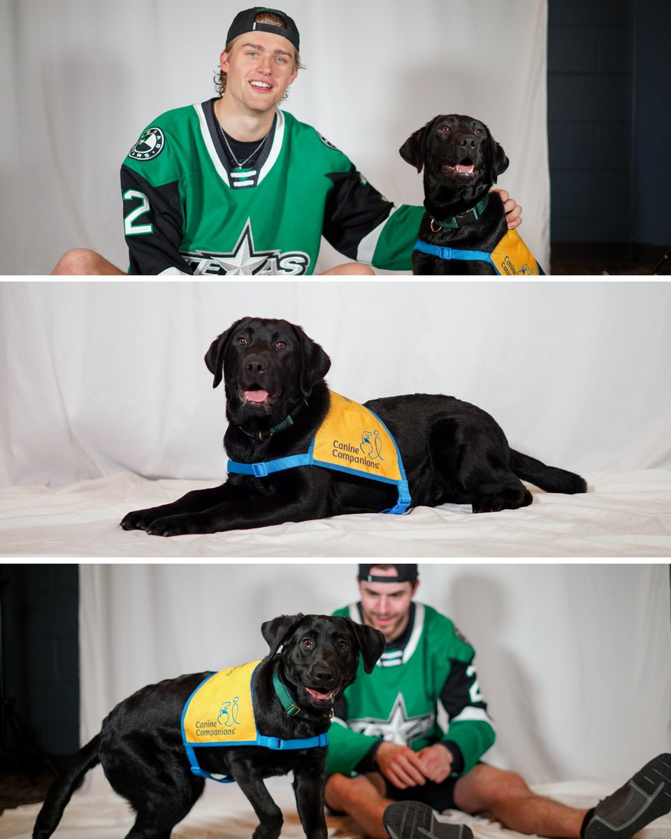 Texas Stars tweet media