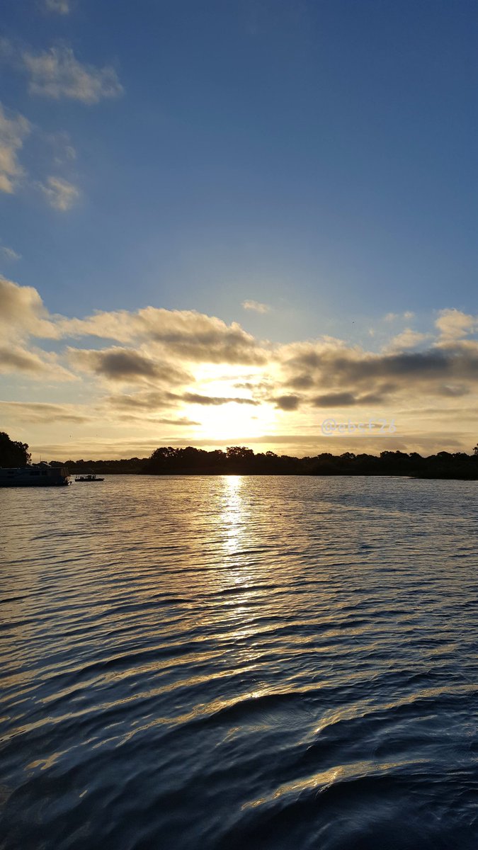 4EmilieBergmann's tweet photo. The delta at dawn and whispers 
'Good Morning'🌞💙💛🤍⛴️🇺🇸🧸 No filter. Soft light. Softer soul. 🏊‍♂️🏊‍♀️
#NorCal #SpringIsHere #SFBayArea 

#MakeCaliforniaGoldenAgain #MAGA https://t.co/PH53G0hZi1