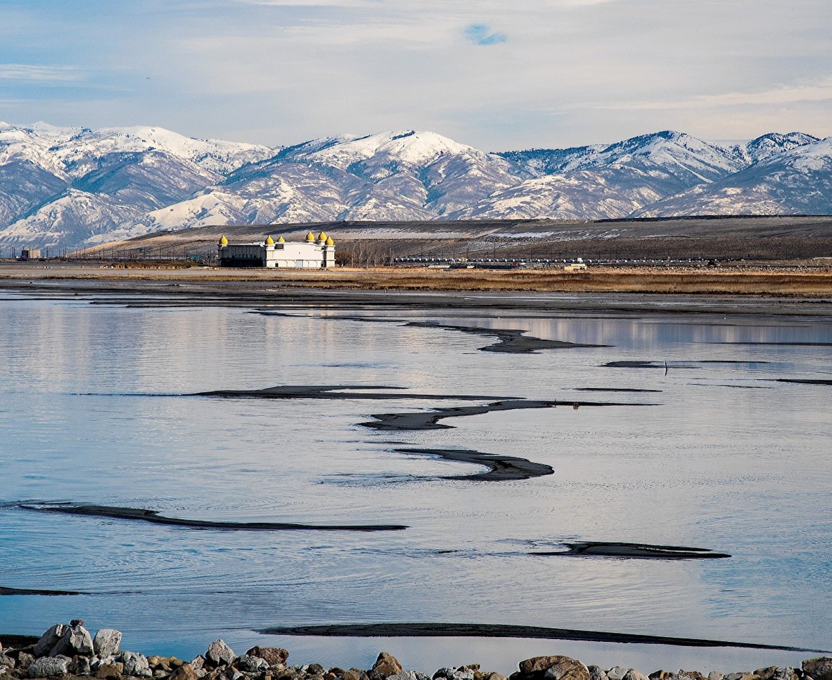 Earth.com tweet media