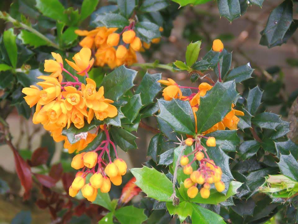 Where is Nature meant to live?🦉🐦🦋🌻🌳🦌🐞 tweet media