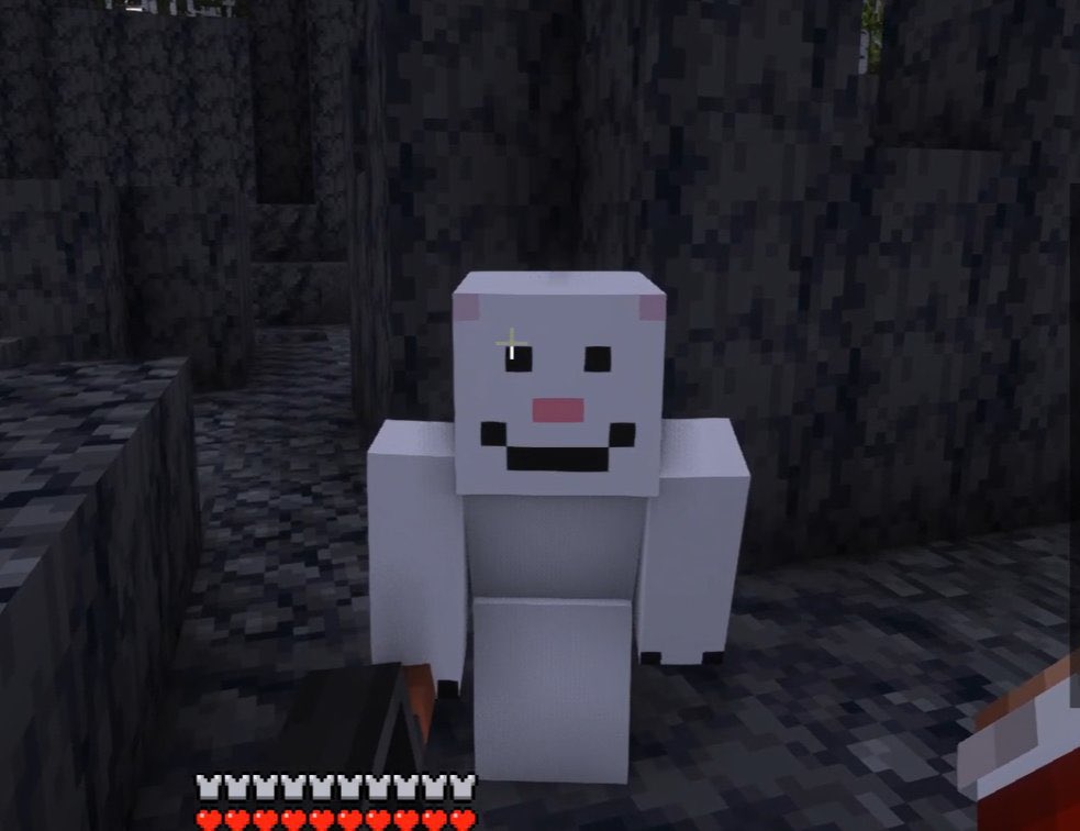 osito bimbo nuestro protegido 🤏