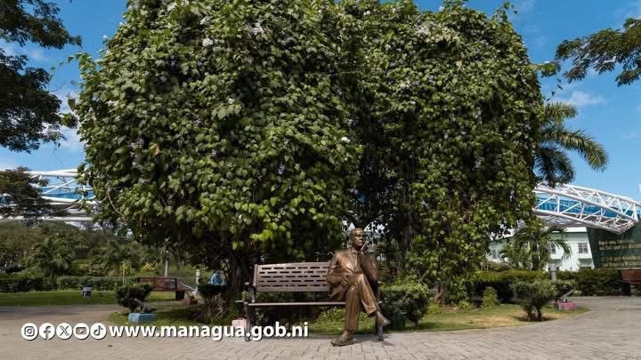 🇳🇮 Una joya 💎 que enaltece nuestra cultura y orgullo nacional ✨

La hermosa estatua del Príncipe de las Letras Castellanas y Héroe Nacional, Rubén Darío 🪶 luce imponente en el Paseo La Paz, sobre la Pista Gaza, frente al Parque Luis Alfonso Velásquez Flores. 🏞️