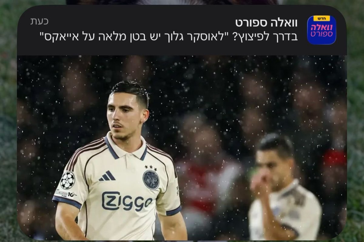 Dror Halpern🔴 tweet media