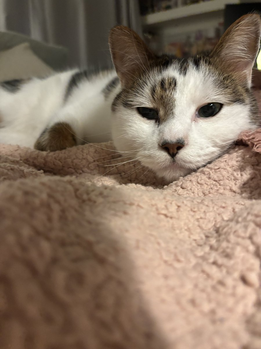 jessica 🐒 tweet media