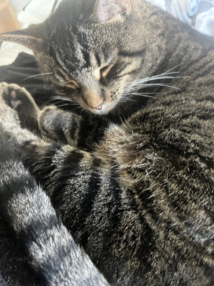 The Floating Signifier tweet media