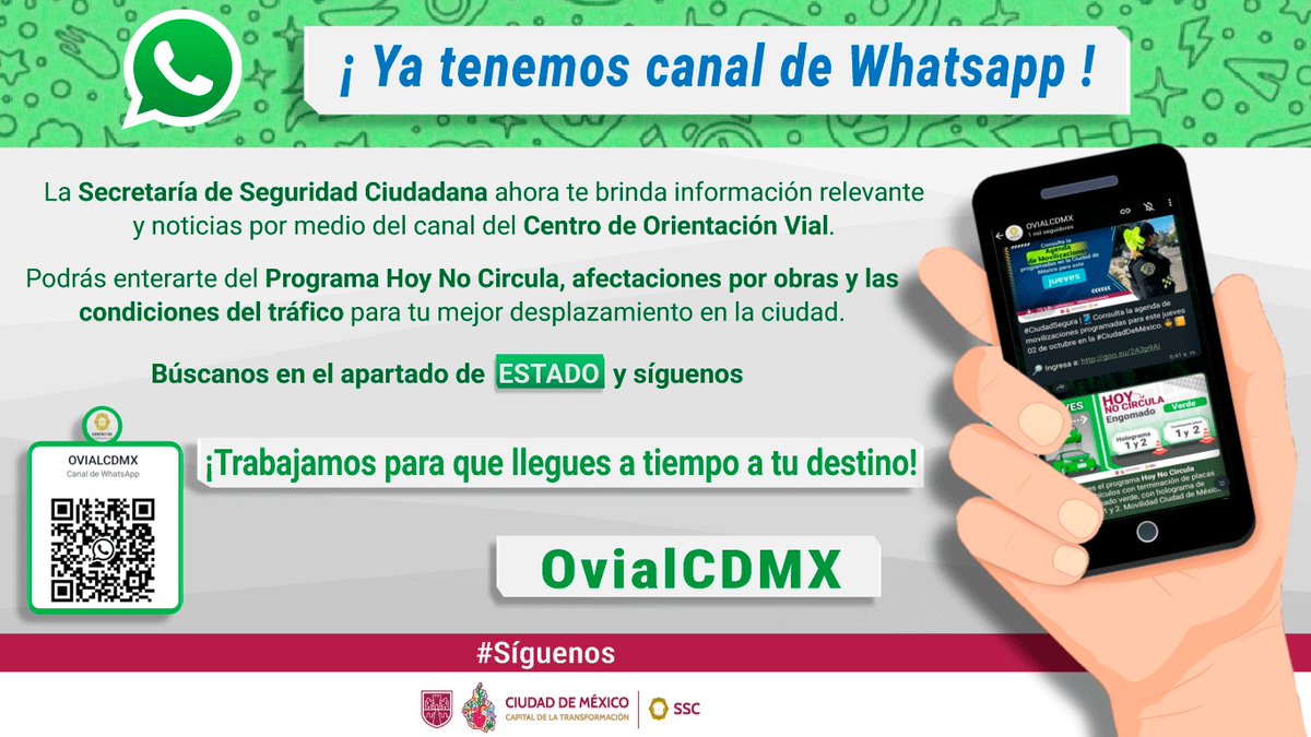 OVIAL_SSCCDMX tweet media