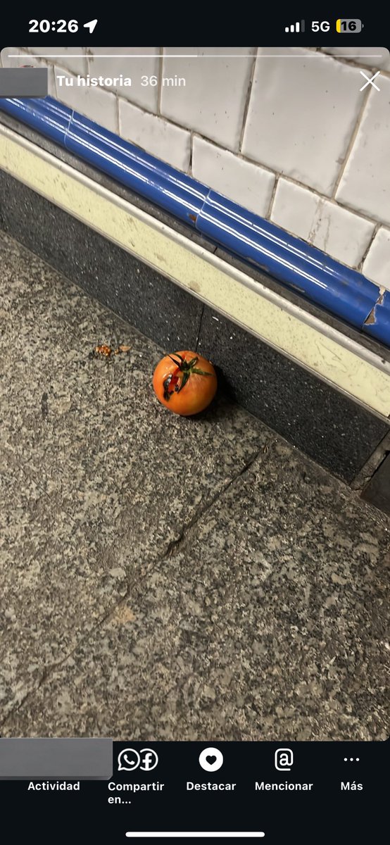 ratalapera tweet media