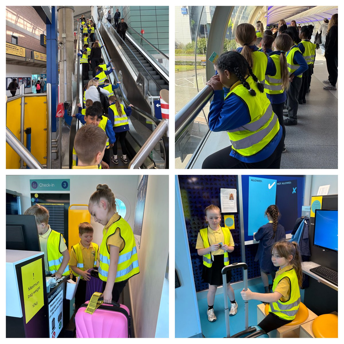 Button Lane Primary tweet media