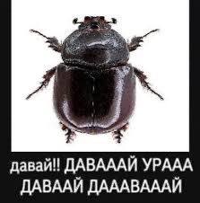 без|радужный пиздец💫 tweet media