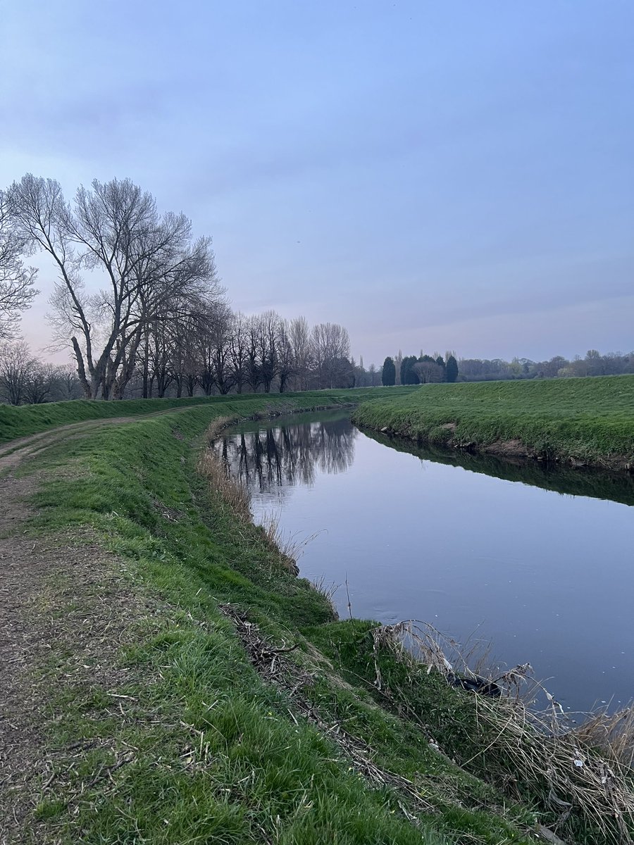 qalam writes tweet media